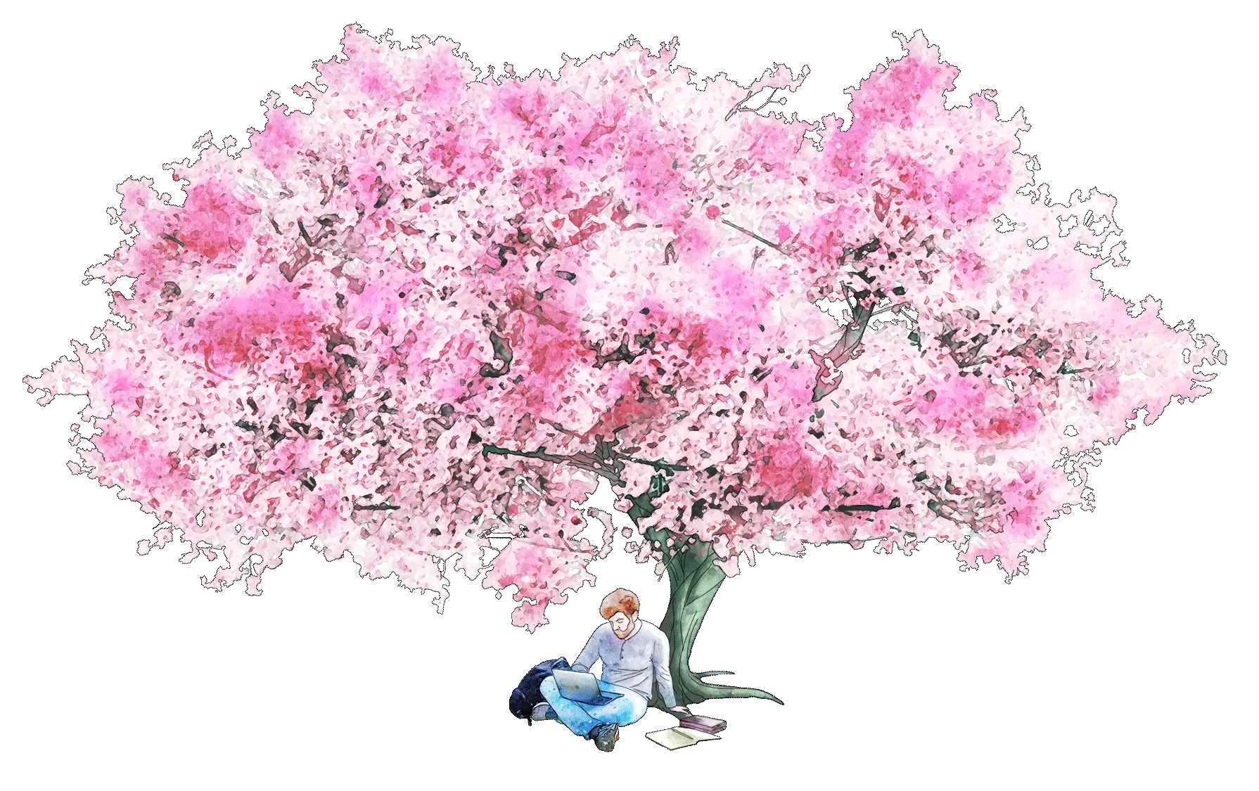 Branding and Marketing